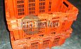 Nestbare leliekratten