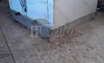 Selectie/plantkar