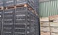 Exportkratten