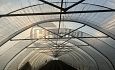 Tunnels