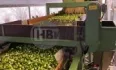 Bunkersorteermachine met voorsorteerder en toevoerband