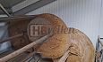 Haspel