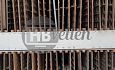 Sorteerplaten
