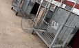  Afval- / gaascontainer