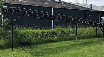 trogband (13)