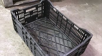 10130338 2017 10 06 photo 00000010