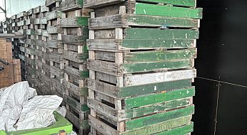 20260108 091851089 ios