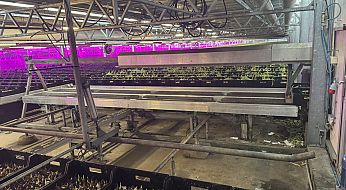 in en uitzetstation (4)