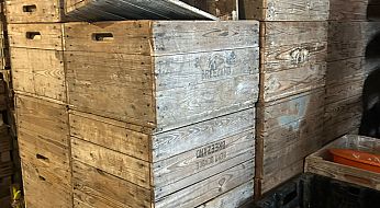 whatsapp image 2026 03 06 at 17.01.03 (2)