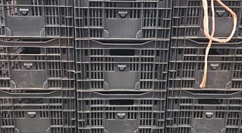 ab184b50 2f73 4328 a041 c70ee1ea1436