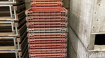 01a514dd 2799 4f24 a806 ed437c7b81dc