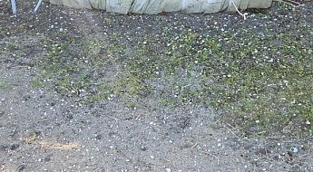 3f92d1ad 3b8d 4b83 afd6 363c2b2c37ff