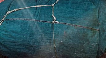 c9f7ec2b fff6 43f1 81d6 4c4636c5feaf