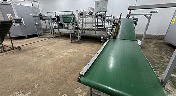img 4379