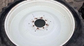 img 6981