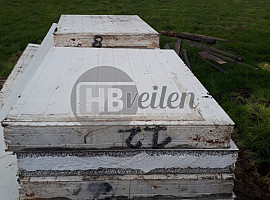 Sandwich panelen 
