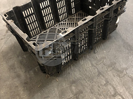 Gevraagd: Nestbare leliekratten