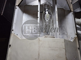 Assimilatie lampen