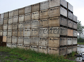 Kuubskisten