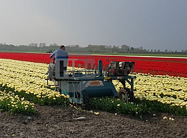 Zelfrijdende kopmachine (1.50)