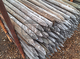 Houten palen