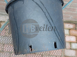 Containers / potten