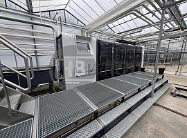 Tulpen Opplantmachine