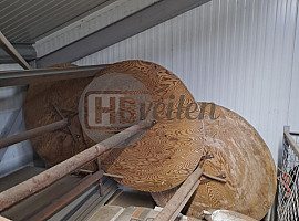 Haspel