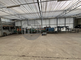 Boslijn (Quality Buncher)