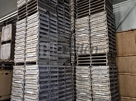 Hyacinten bakken / Holbakken