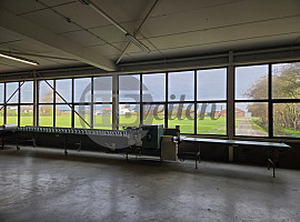 Boslijn met verzamelband