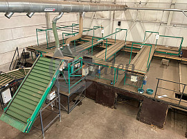 Verwerkingslijn (Zantedeschia's)