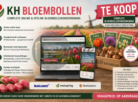 Complete online & offline bloembollenonderneming – KH Bloembollen