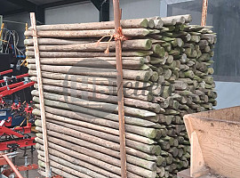 Houten palen 