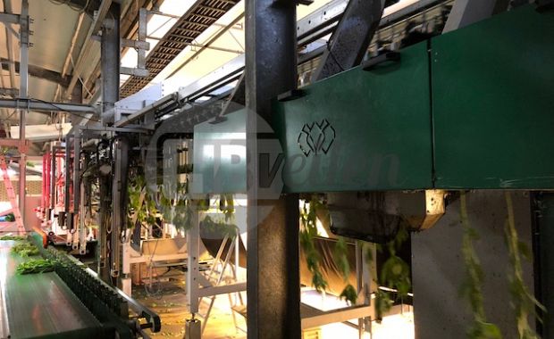 Bosmachine