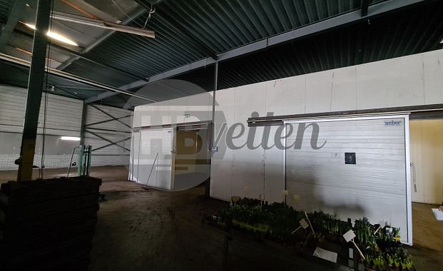 Koelcel