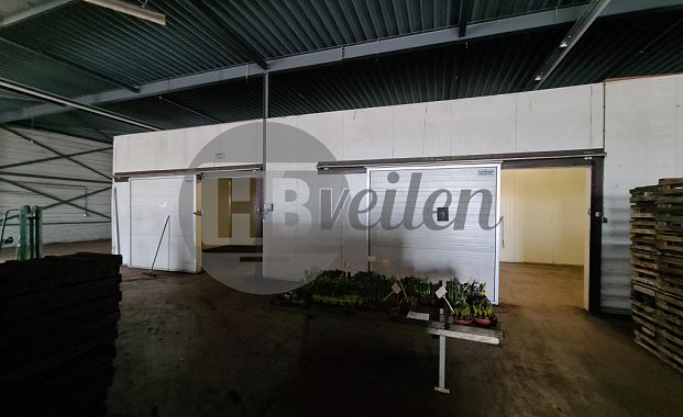 Koelcel