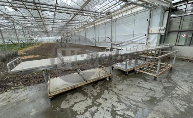Monorail set