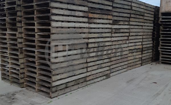 Pallets 120x120