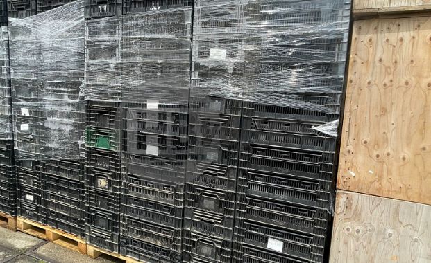 Exportkratten