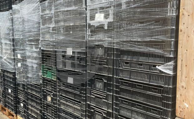 Exportkratten