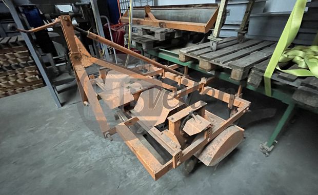 Ruggenfrees