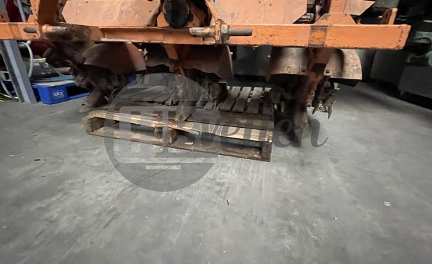 Ruggenfrees