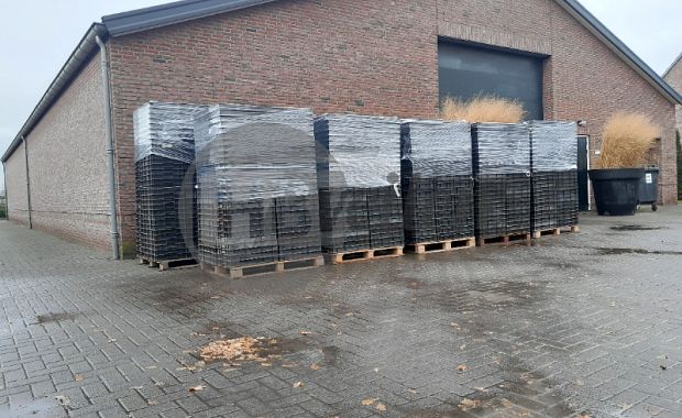 Stekbakken / plantenkisten