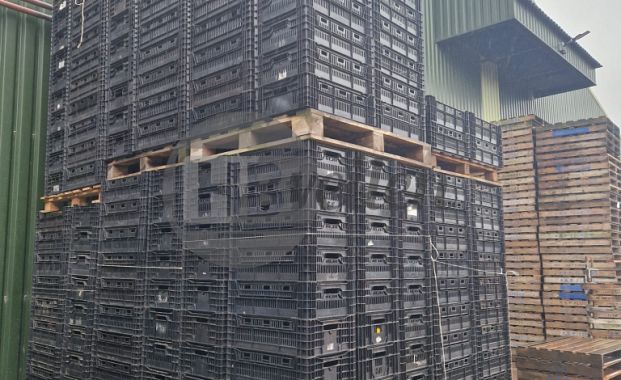 Exportkratten