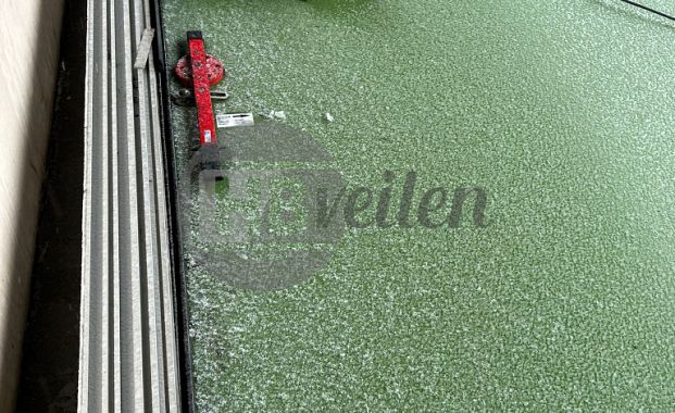 Koelceldeur