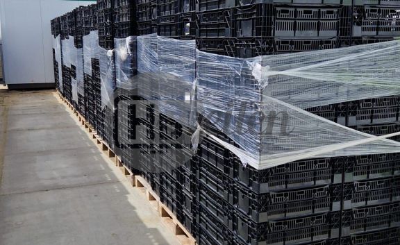 Exportkratten / Tulpenkratten