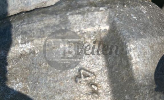 Beregeningsbuizen (4")