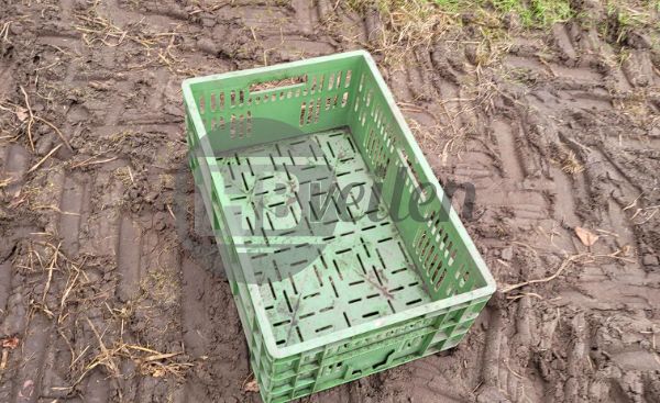 Groente kisten / kratten