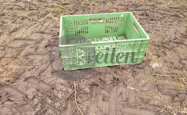 Groente kisten / kratten